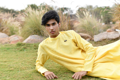 Bee pleated kurta set