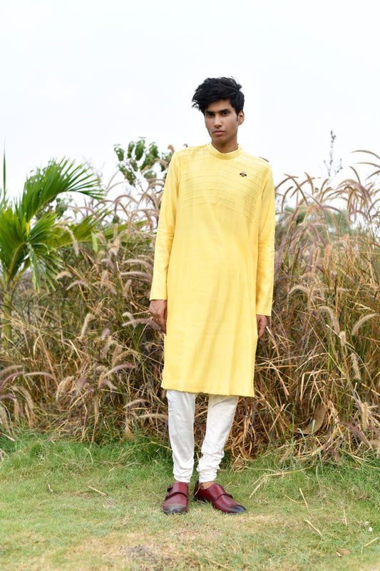 Bee pleated kurta set