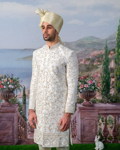 HAROLD SHERWANI SET