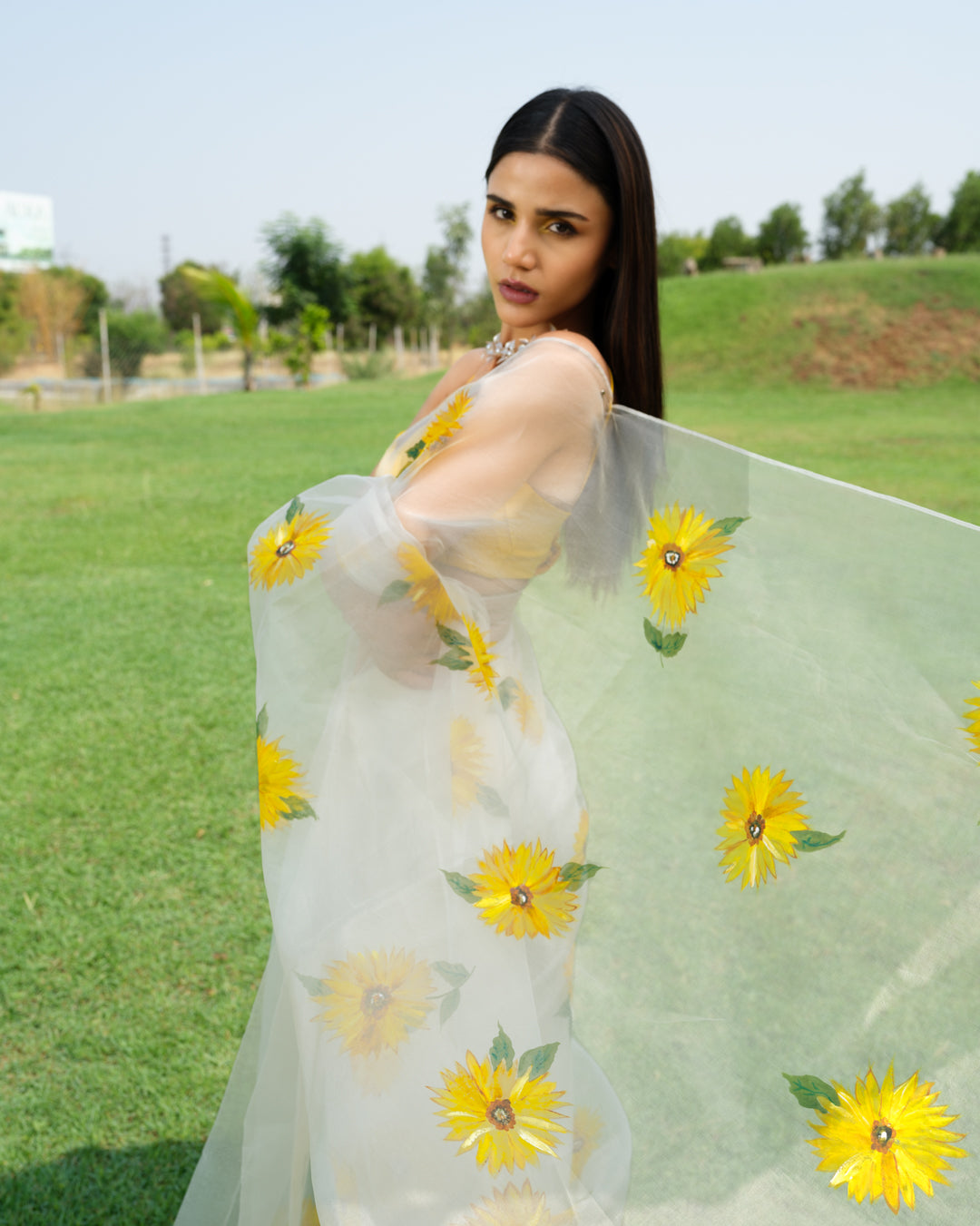 FieLds of Gold Saree