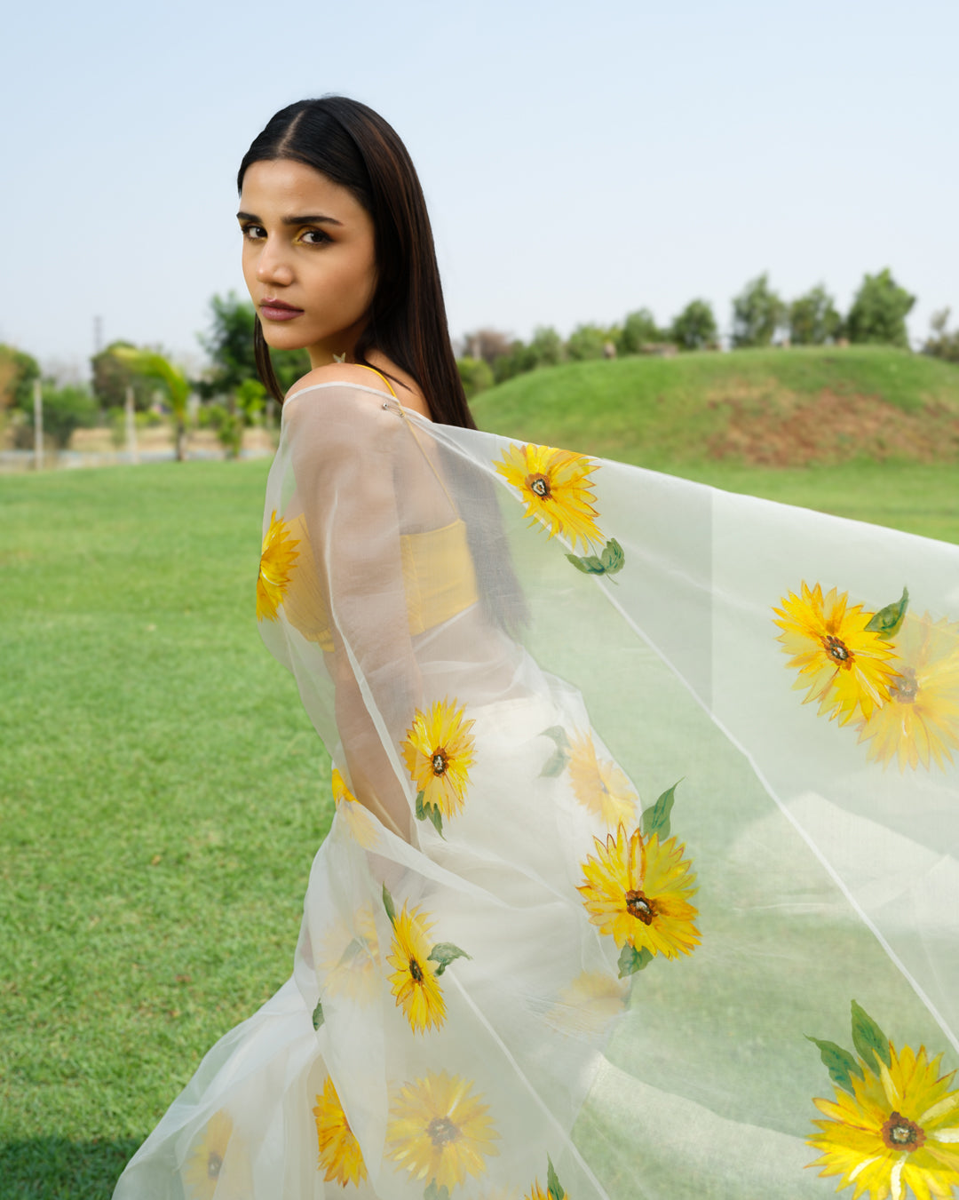 FieLds of Gold Saree