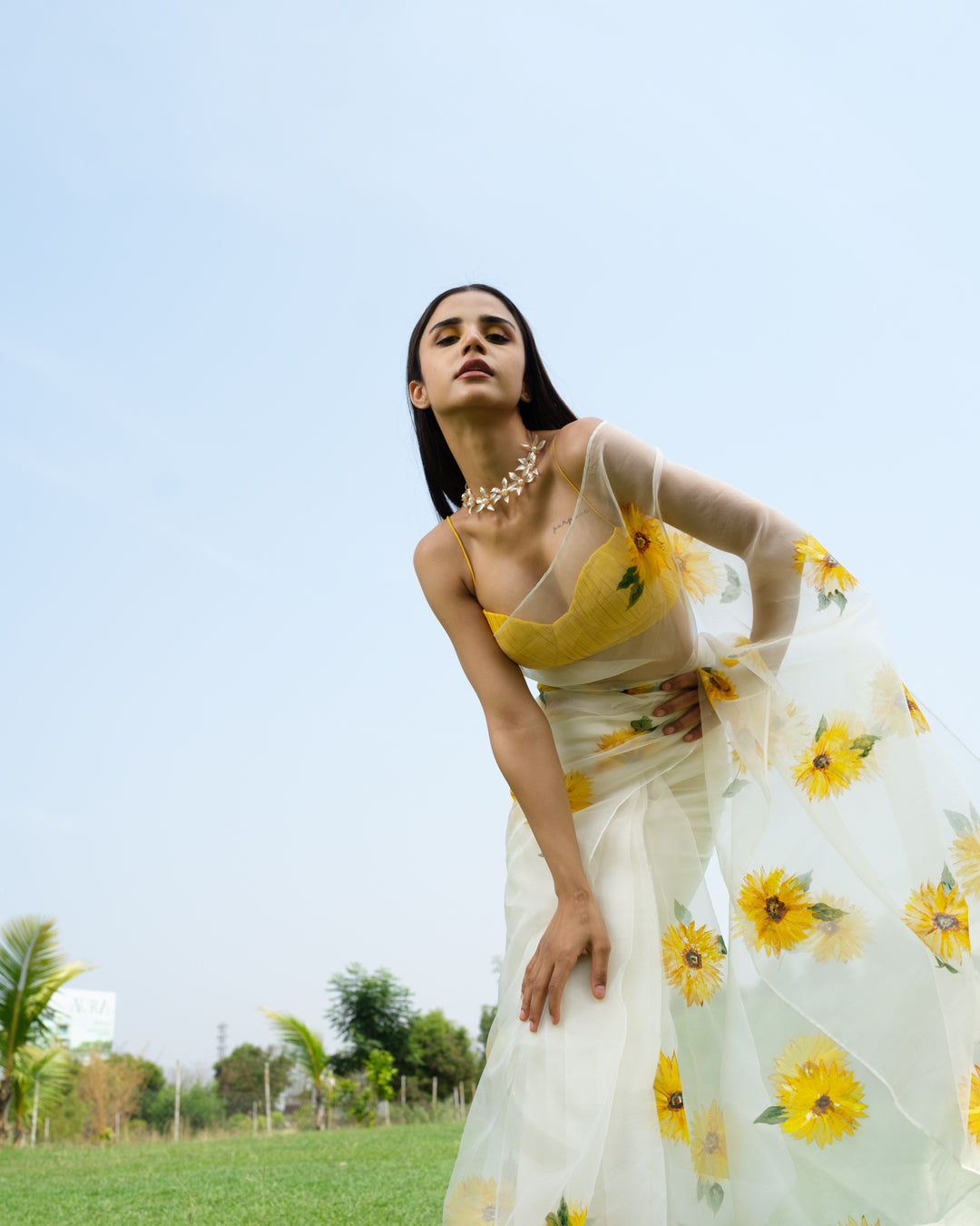 FieLds of Gold Saree