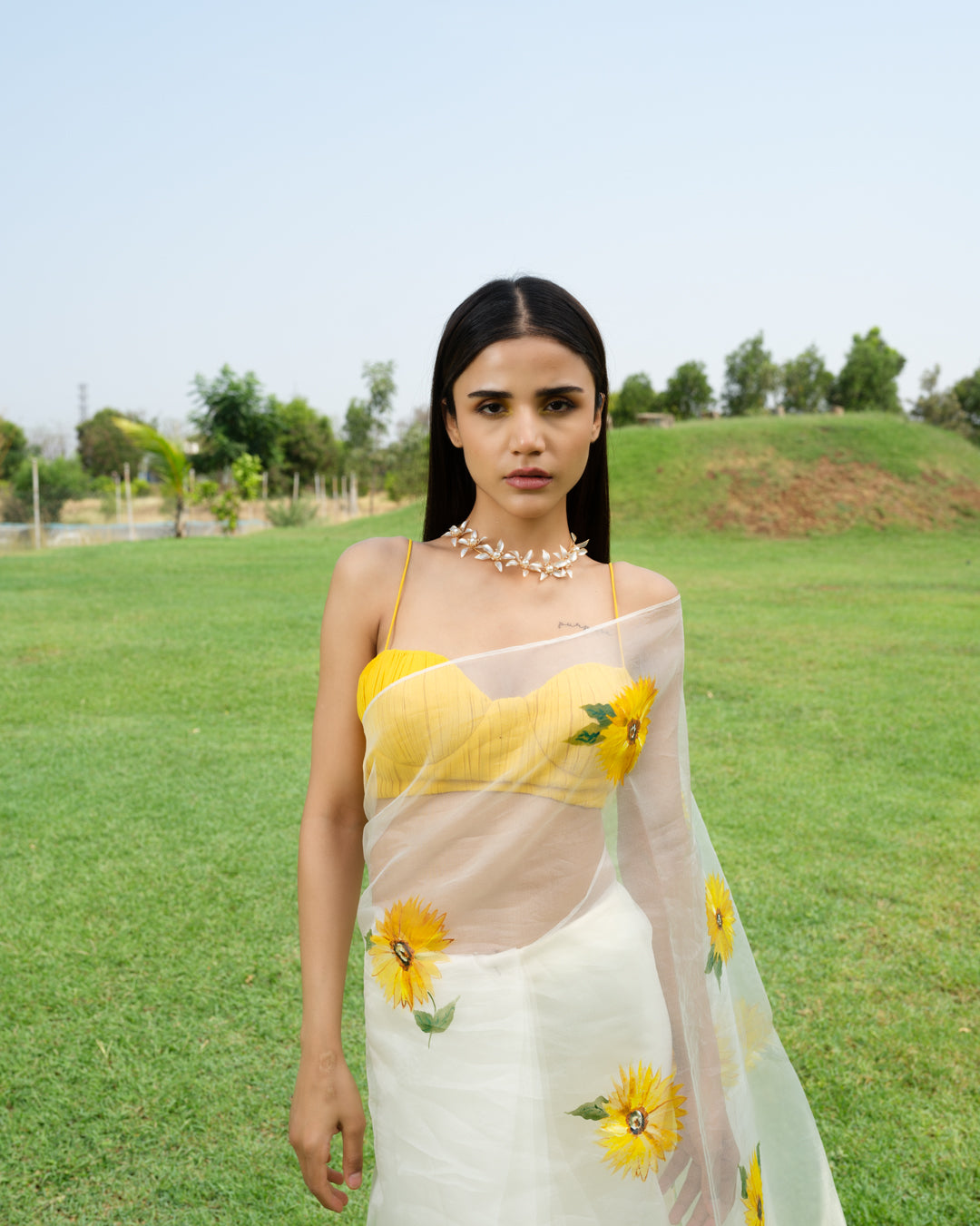 FieLds of Gold Saree